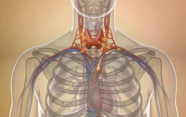 Endocrine Disrupting